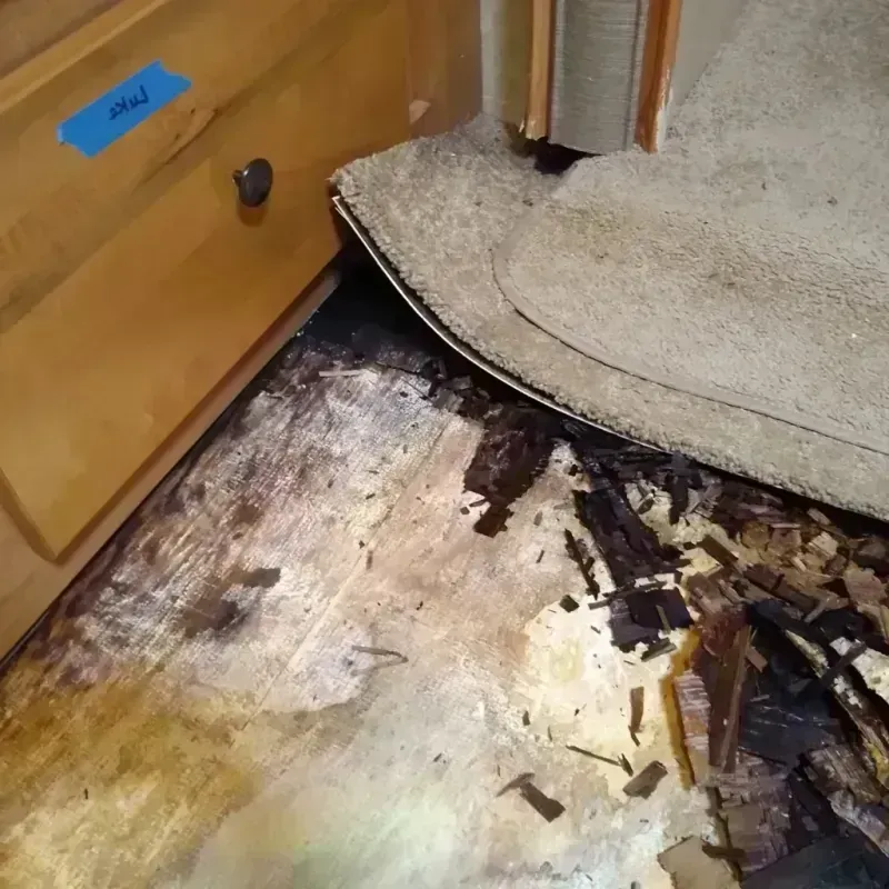 Wood Floor Water Damage in Mission Bend, TX